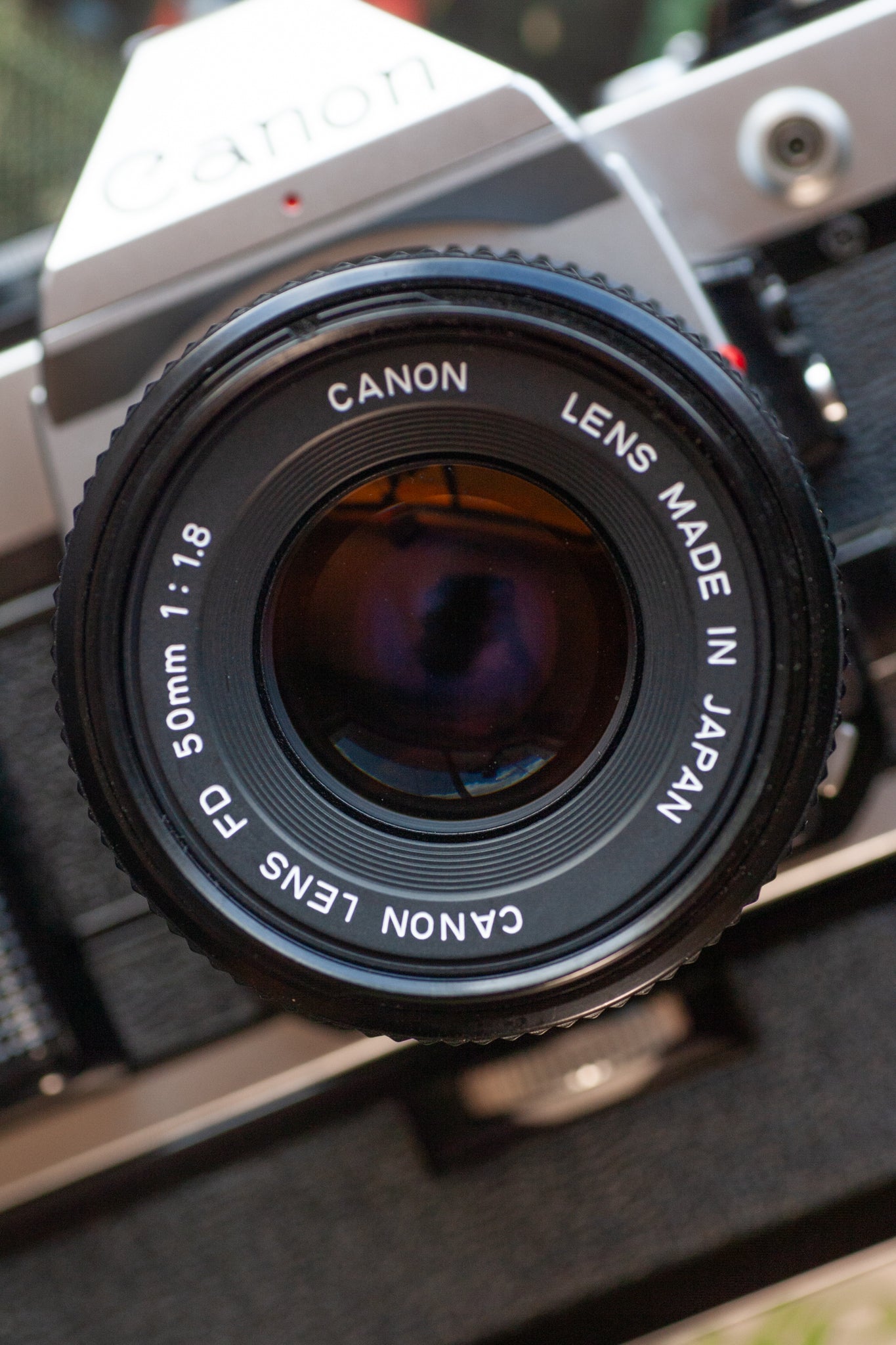 AE-1 Camara Vintage 35 mm