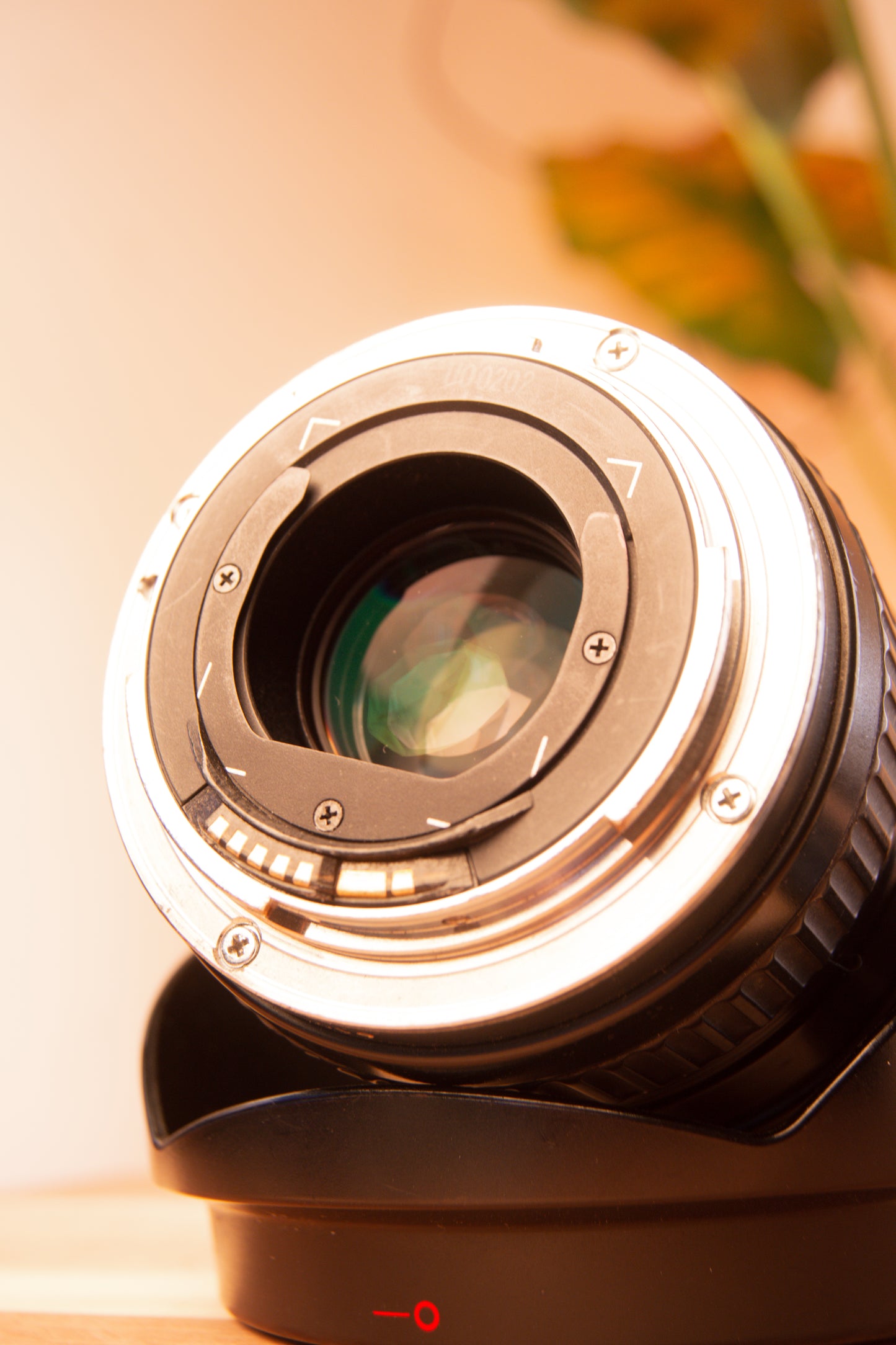 Canon EF 17-35mm f/2.8 L Ultrasonic Lens