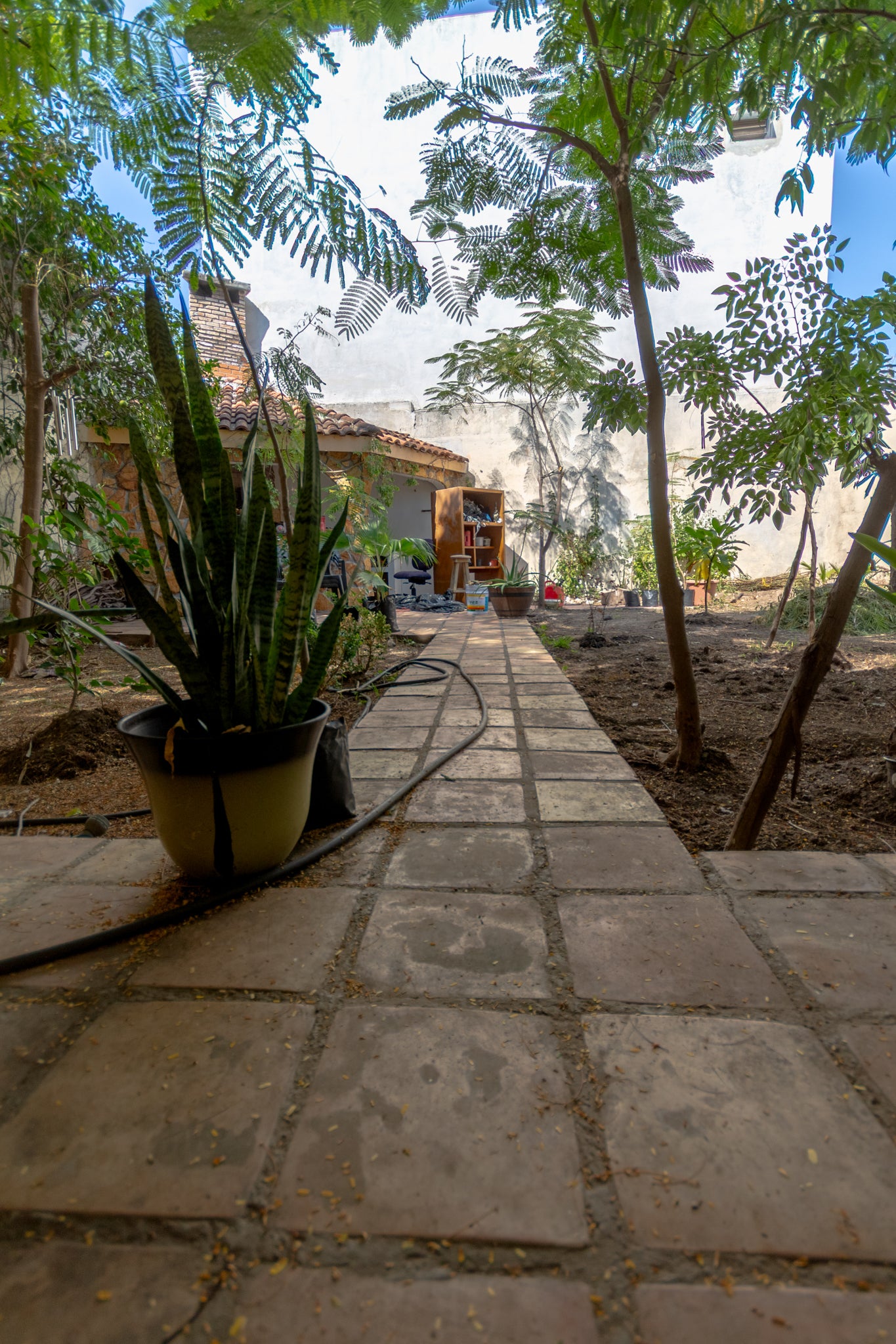 Sigma 10-20mm f/4-5.6 – Ultra Gran Angular