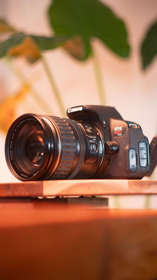 Canon EOS Rebel T4i + EF 28-135mm f/3.5-5.6 IS USM
