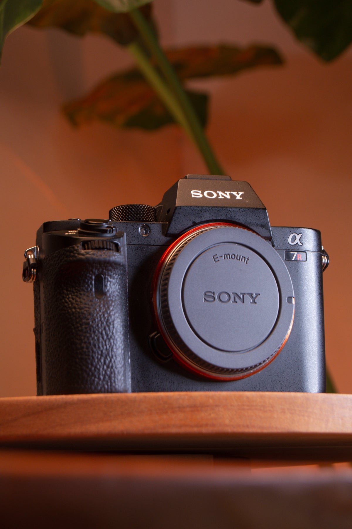 Sony A7R ll con battery grip – Cámara Mirrorless Full Frame de Alta Resolución