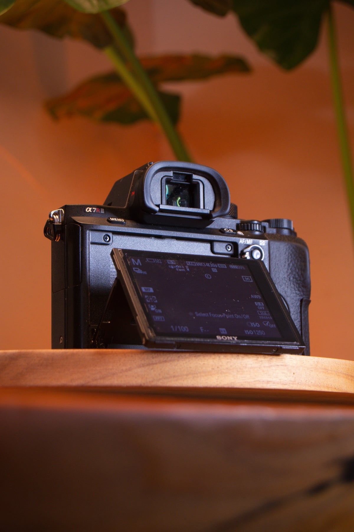 Sony A7R ll con battery grip – Cámara Mirrorless Full Frame de Alta Resolución