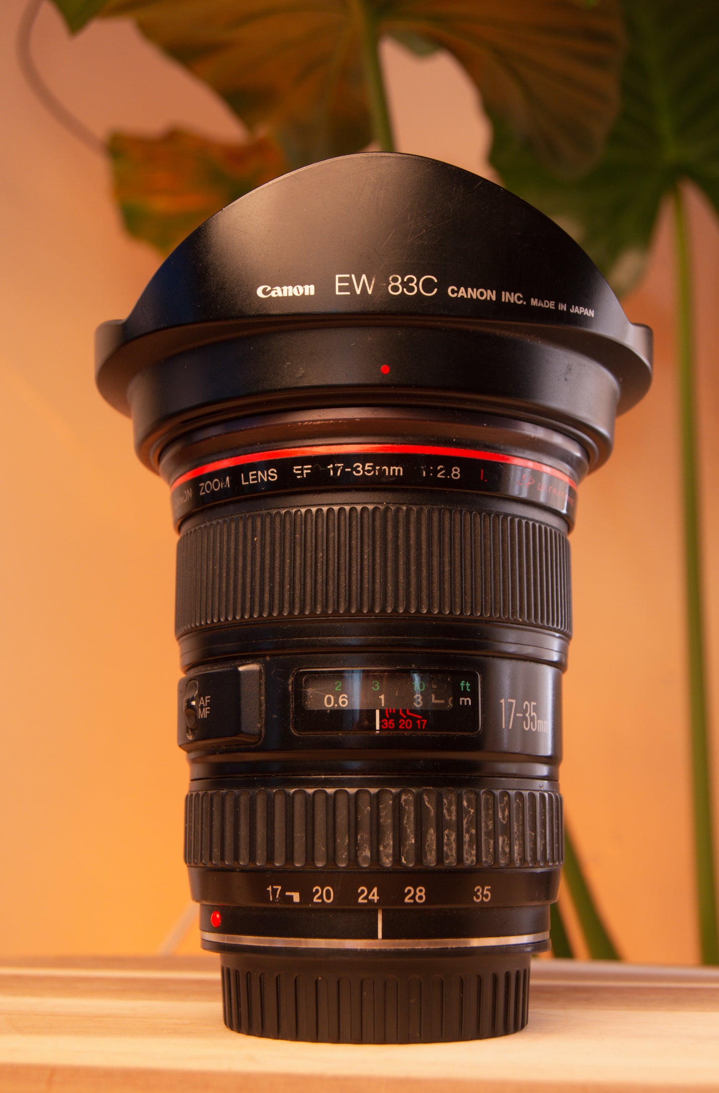 Canon EF 17-35mm f/2.8 L Ultrasonic Lens
