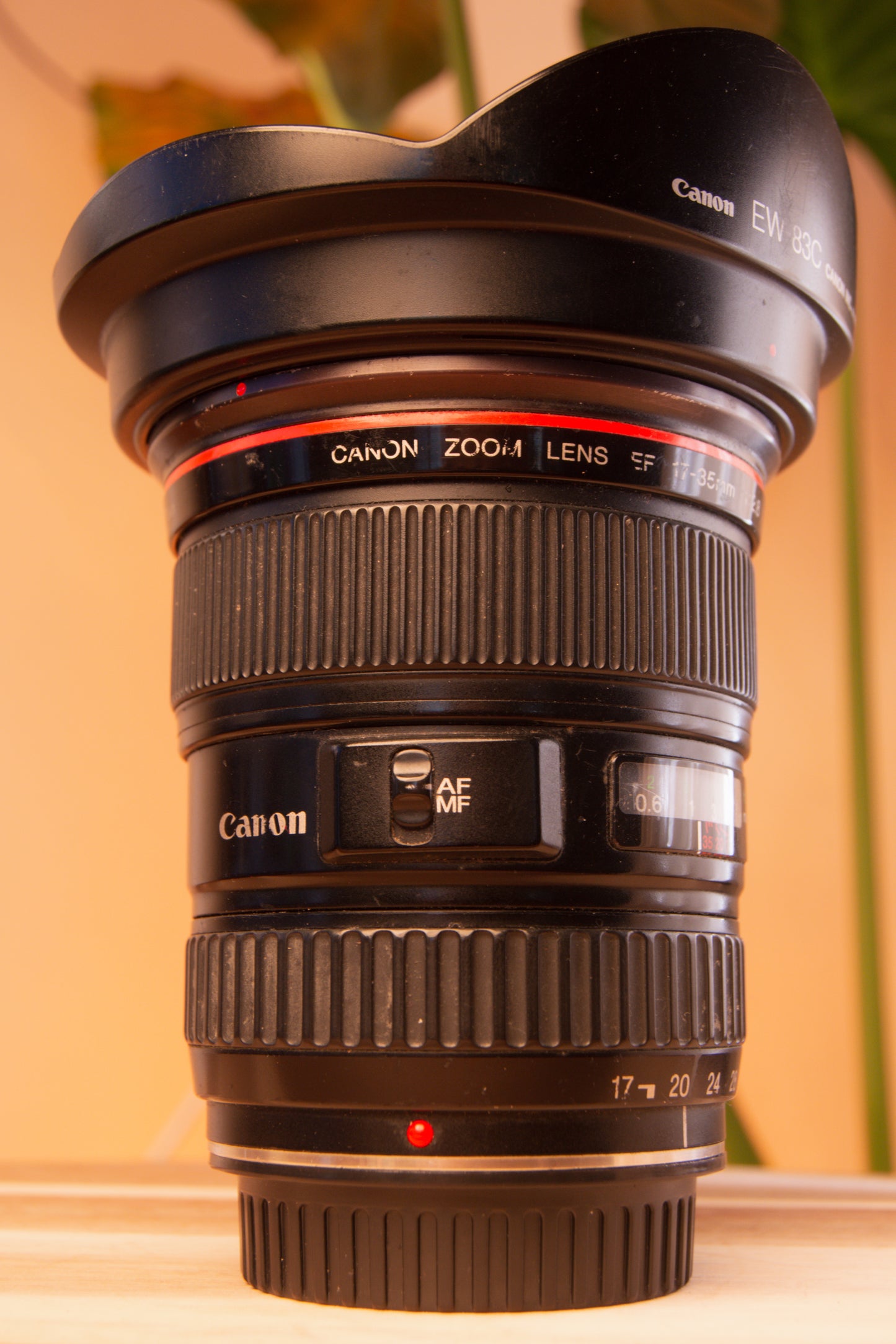 Canon EF 17-35mm f/2.8 L Ultrasonic Lens