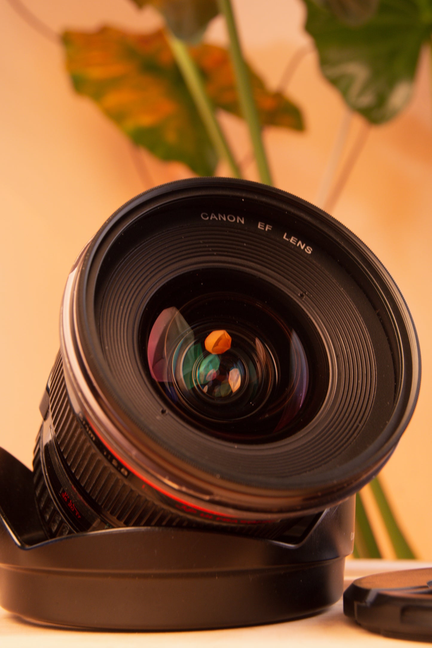Canon EF 17-35mm f/2.8 L Ultrasonic Lens