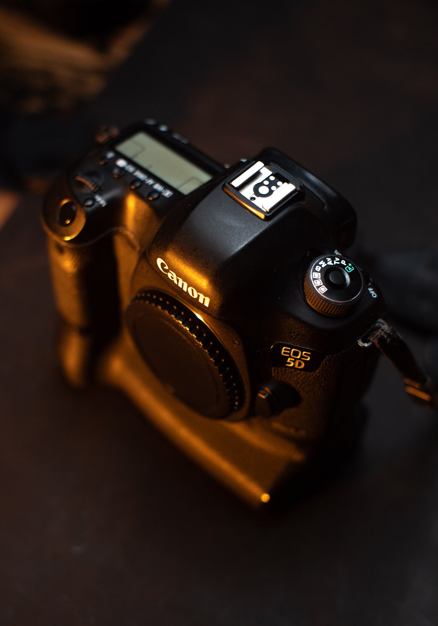 Canon EOS 5D Mark III + Battery Grip – Full Frame Profesional