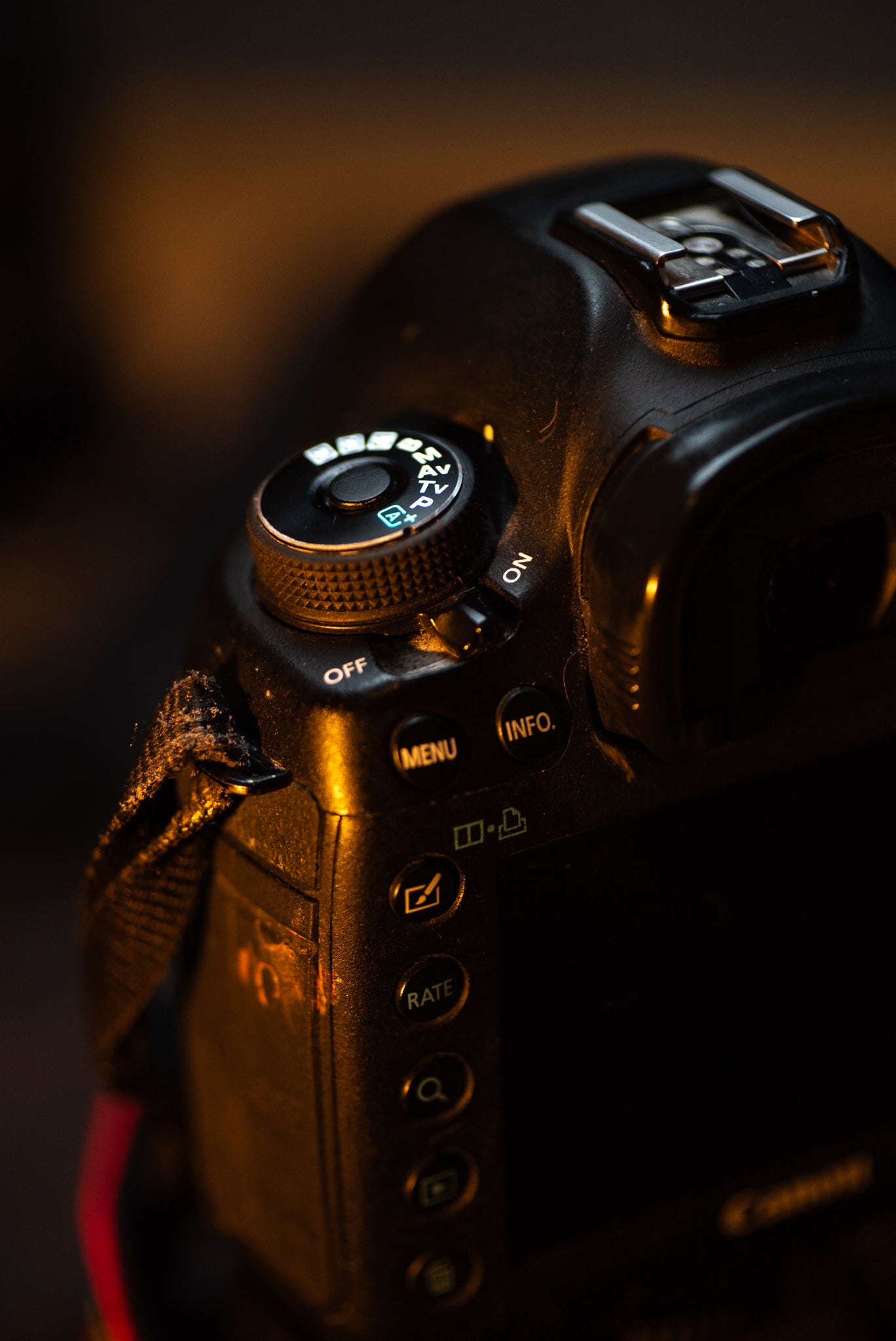 Canon EOS 5D Mark III + Battery Grip – Full Frame Profesional