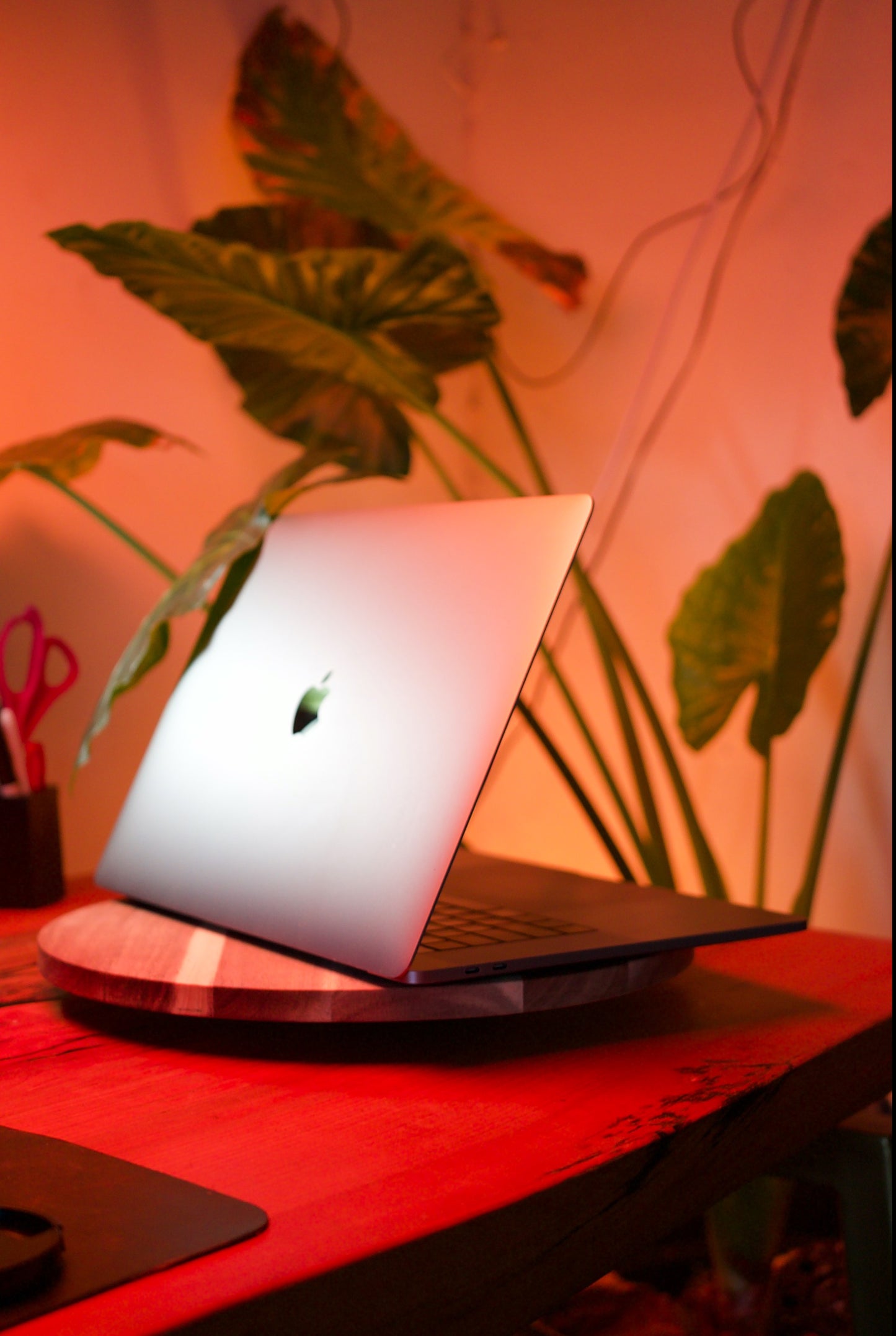 MacBook Pro 15" 2019 — i7 6 núcleos | 16GB RAM | 250GB SSD
