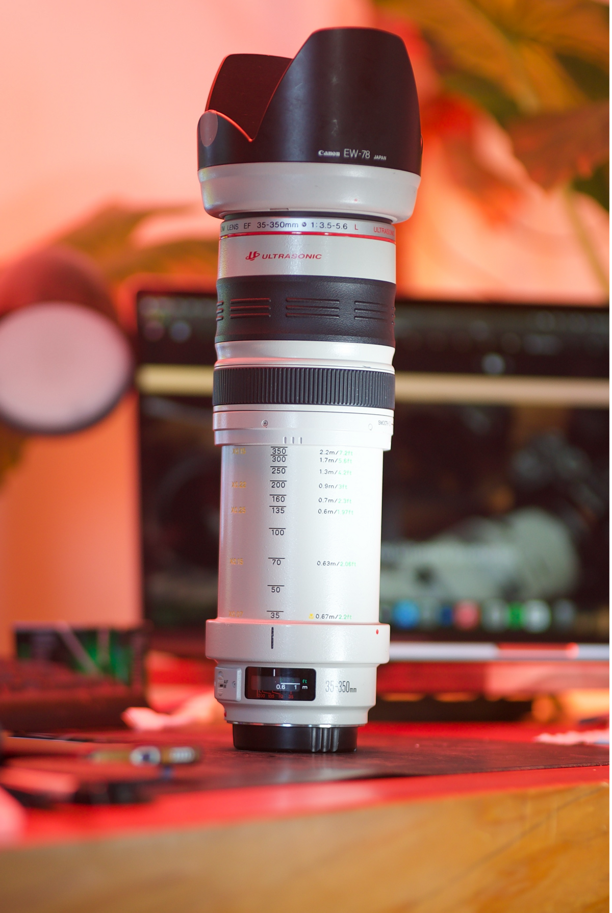 Canon EF 35-350mm f/3.5-5.6L USM
