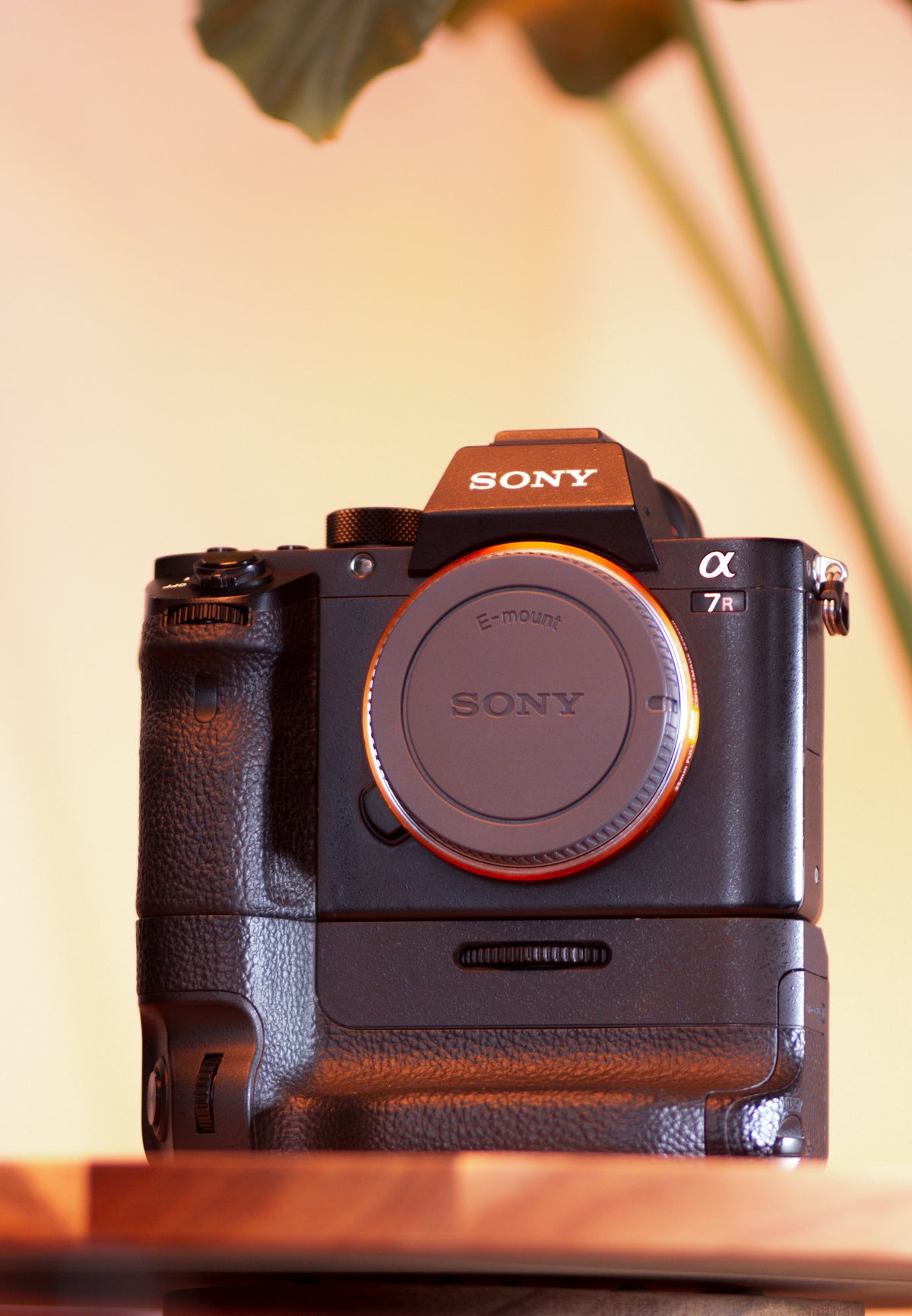 Sony A7R ll con battery grip – Cámara Mirrorless Full Frame de Alta Resolución
