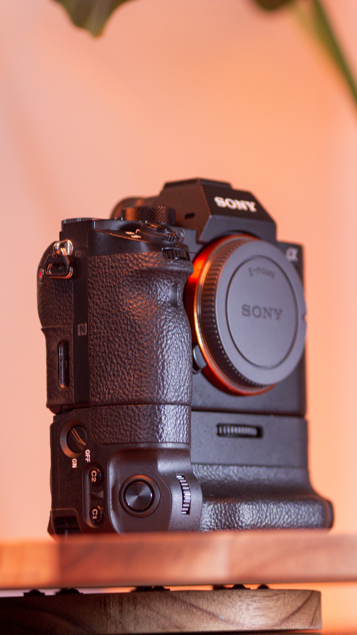 Sony A7R ll con battery grip – Cámara Mirrorless Full Frame de Alta Resolución