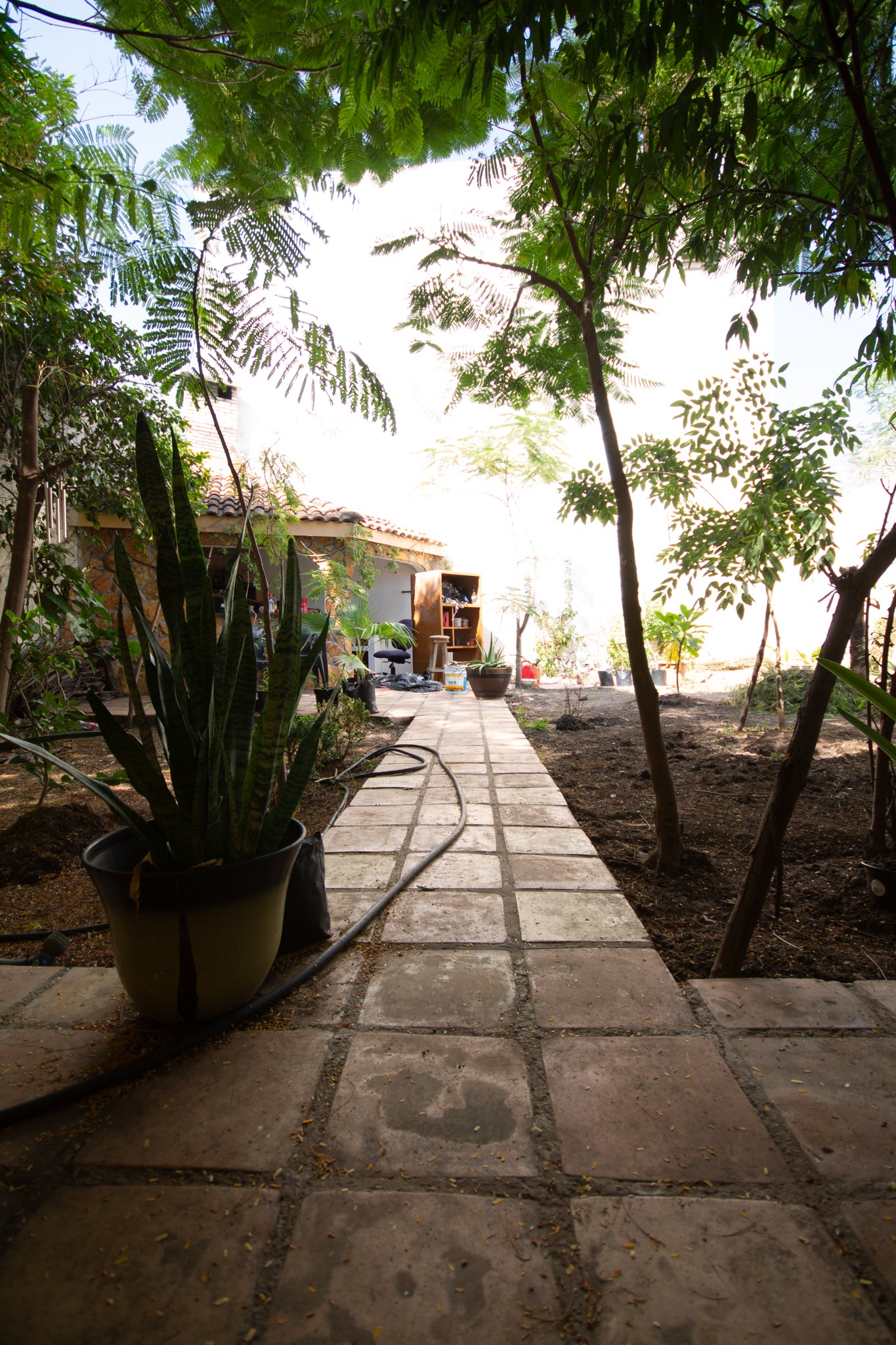 Sigma 10-20mm f/4-5.6 – Ultra Gran Angular