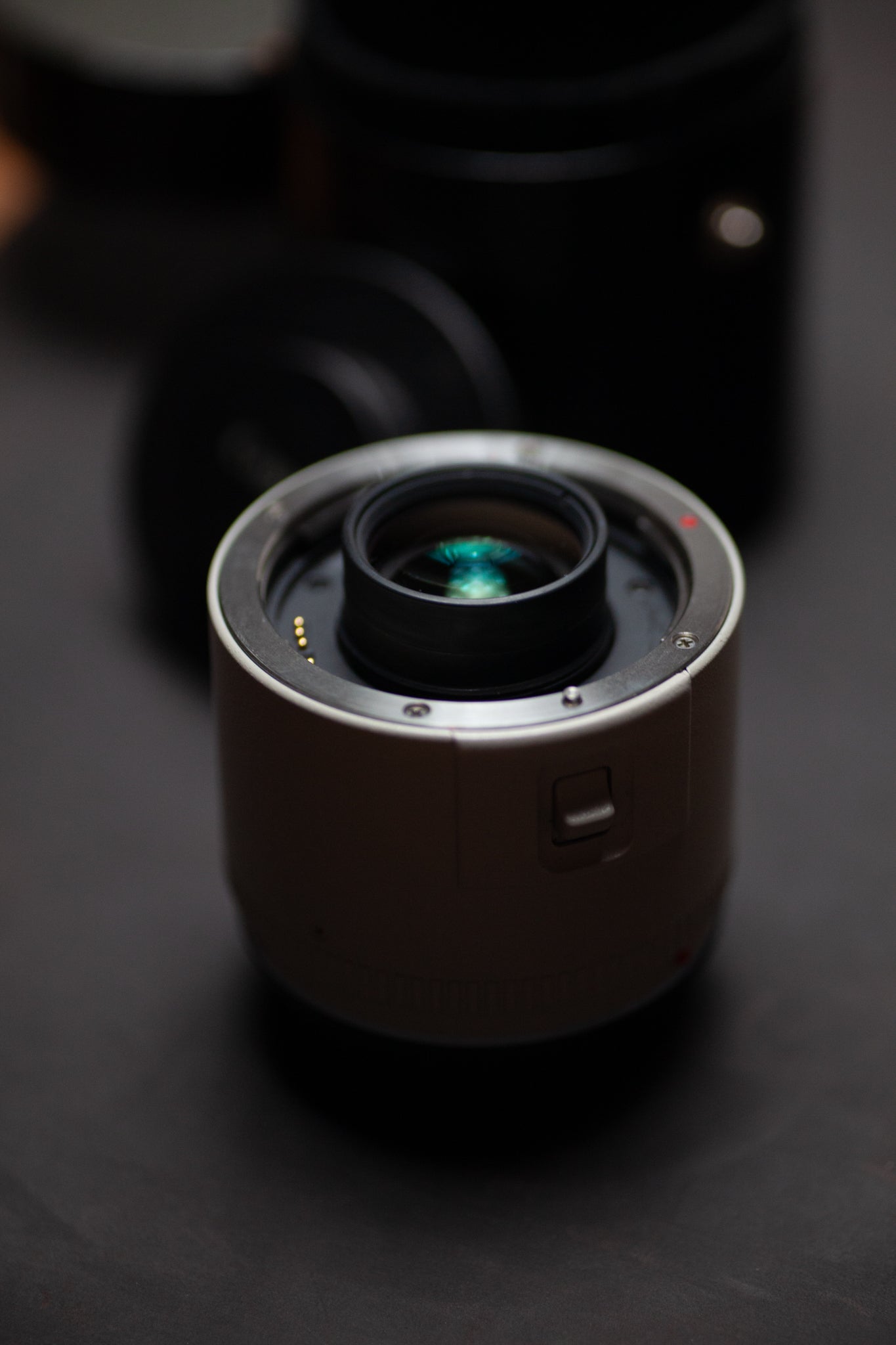 Canon Extender EF 2x – Teleconvertidor Profesional para Montura Canon EF