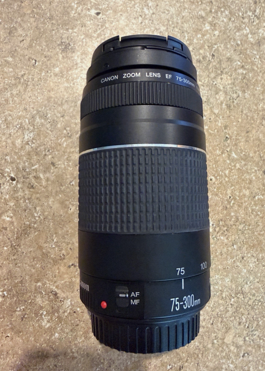 Lente Canon EF 75-300mm f/4-5.6  — Telefoto para Canon EOS