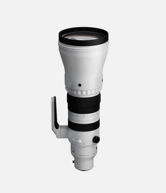Sigma 300-600mm f/4 DG OS | Sports — Montura Sony E