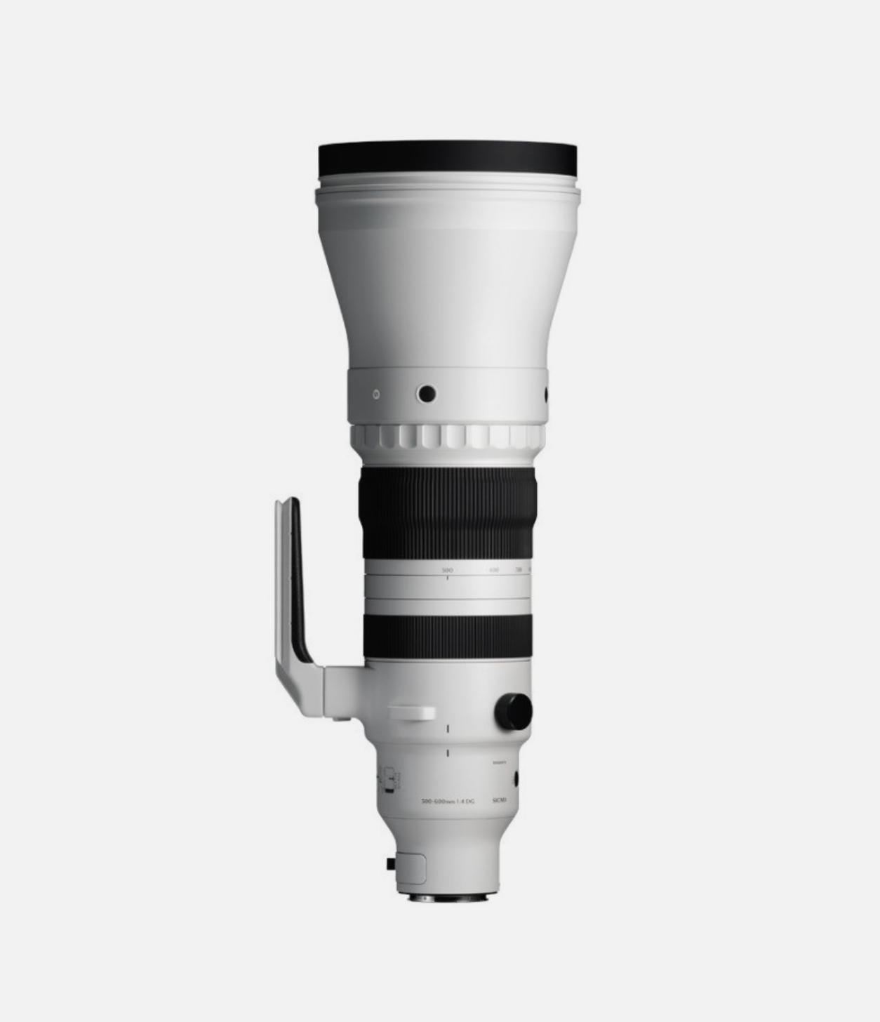Sigma 300-600mm f/4 DG OS | Sports — Montura Sony E