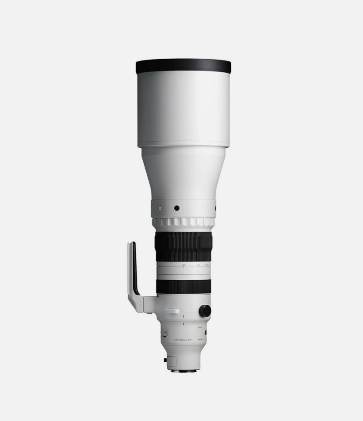 Sigma 300-600mm f/4 DG OS | Sports — Montura Sony E
