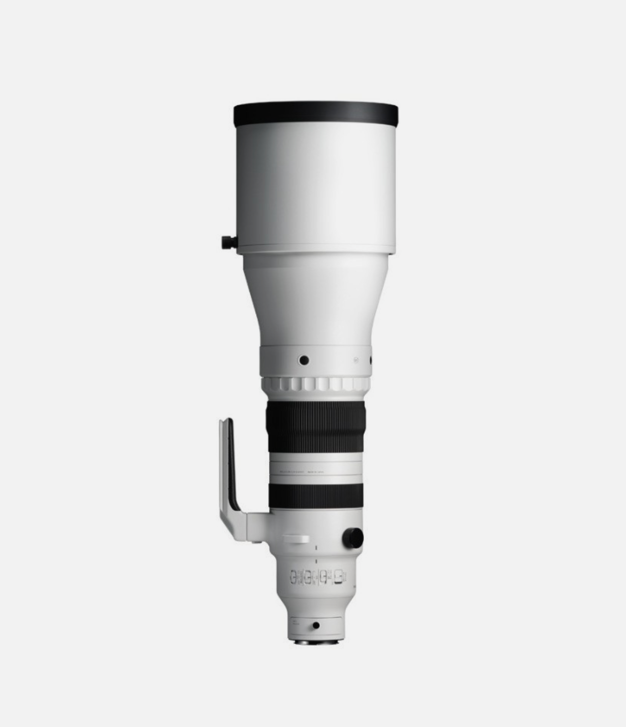 Sigma 300-600mm f/4 DG OS | Sports — Montura Sony E