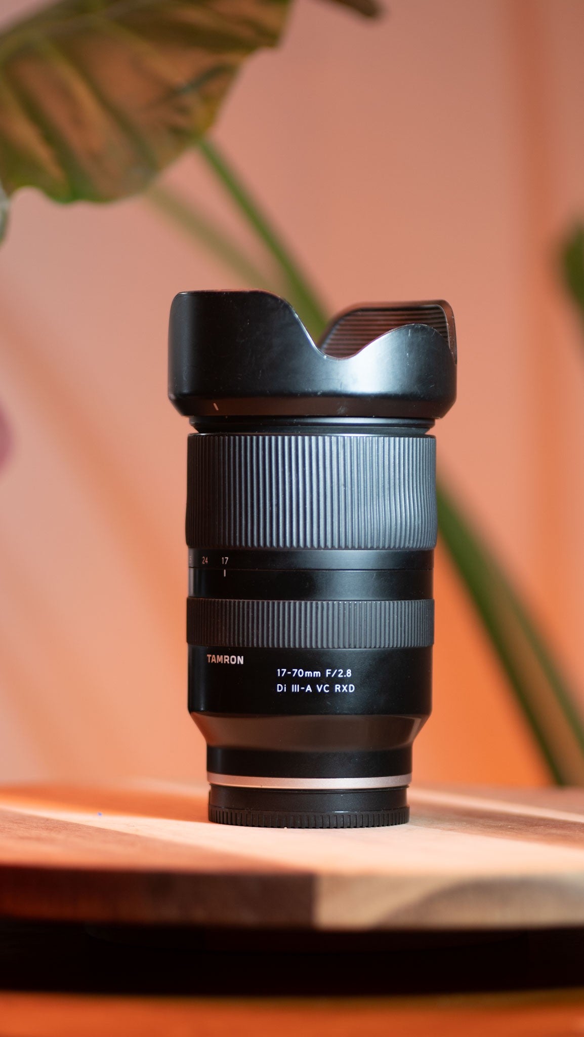 Tamron 17-70mm f/2.8 Di III-A VC RXD – Sony E