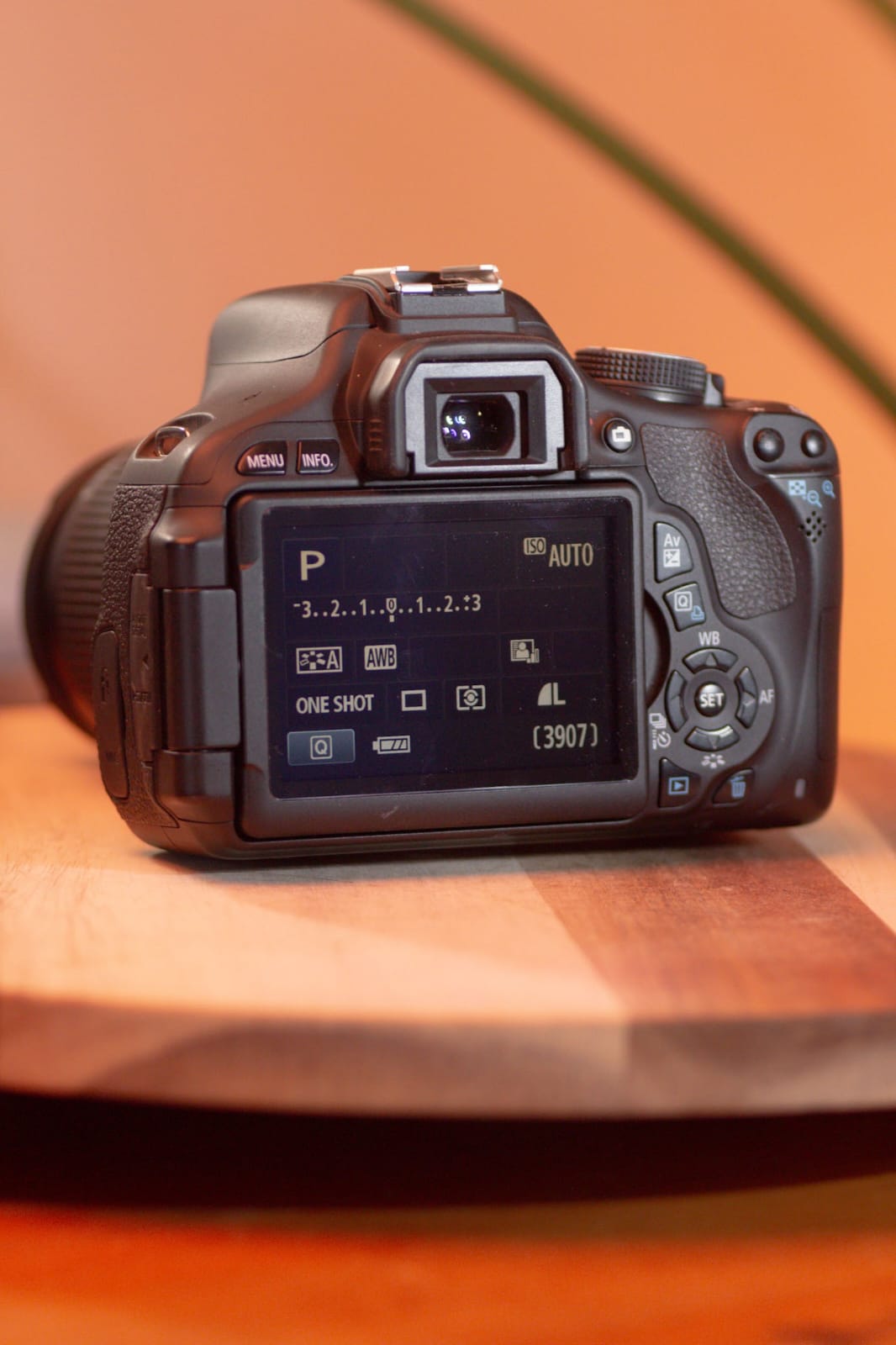 Canon EOS Rebel T3i + 18-55mm IS STM + 75-300mm