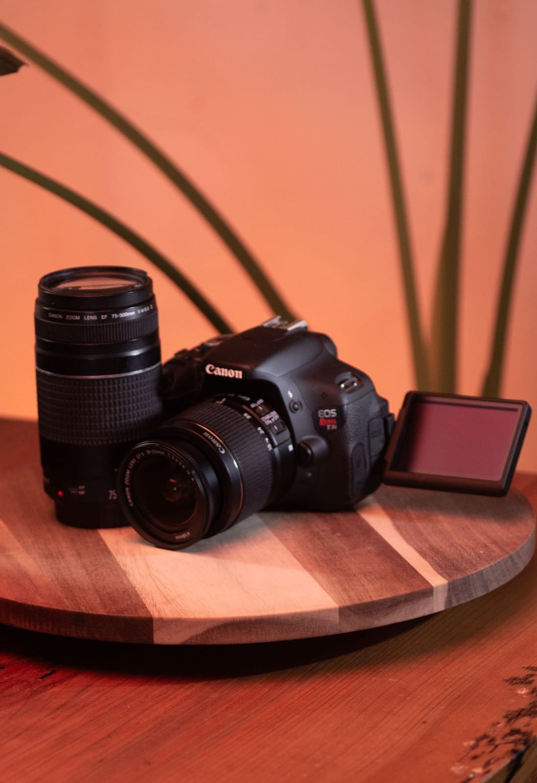 Canon EOS Rebel T3i + 18-55mm IS STM + 75-300mm