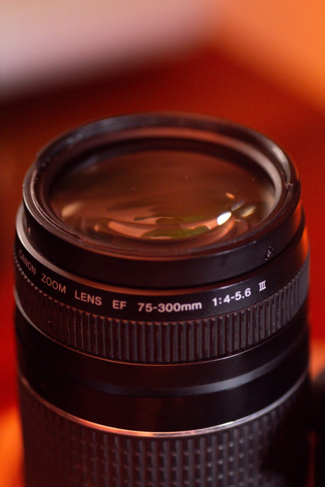 Canon EOS Rebel T3i + 18-55mm IS STM + 75-300mm