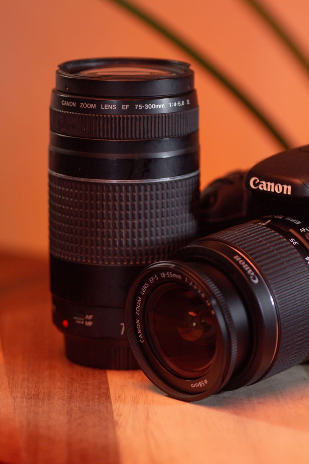 Canon EOS Rebel T3i + 18-55mm IS STM + 75-300mm