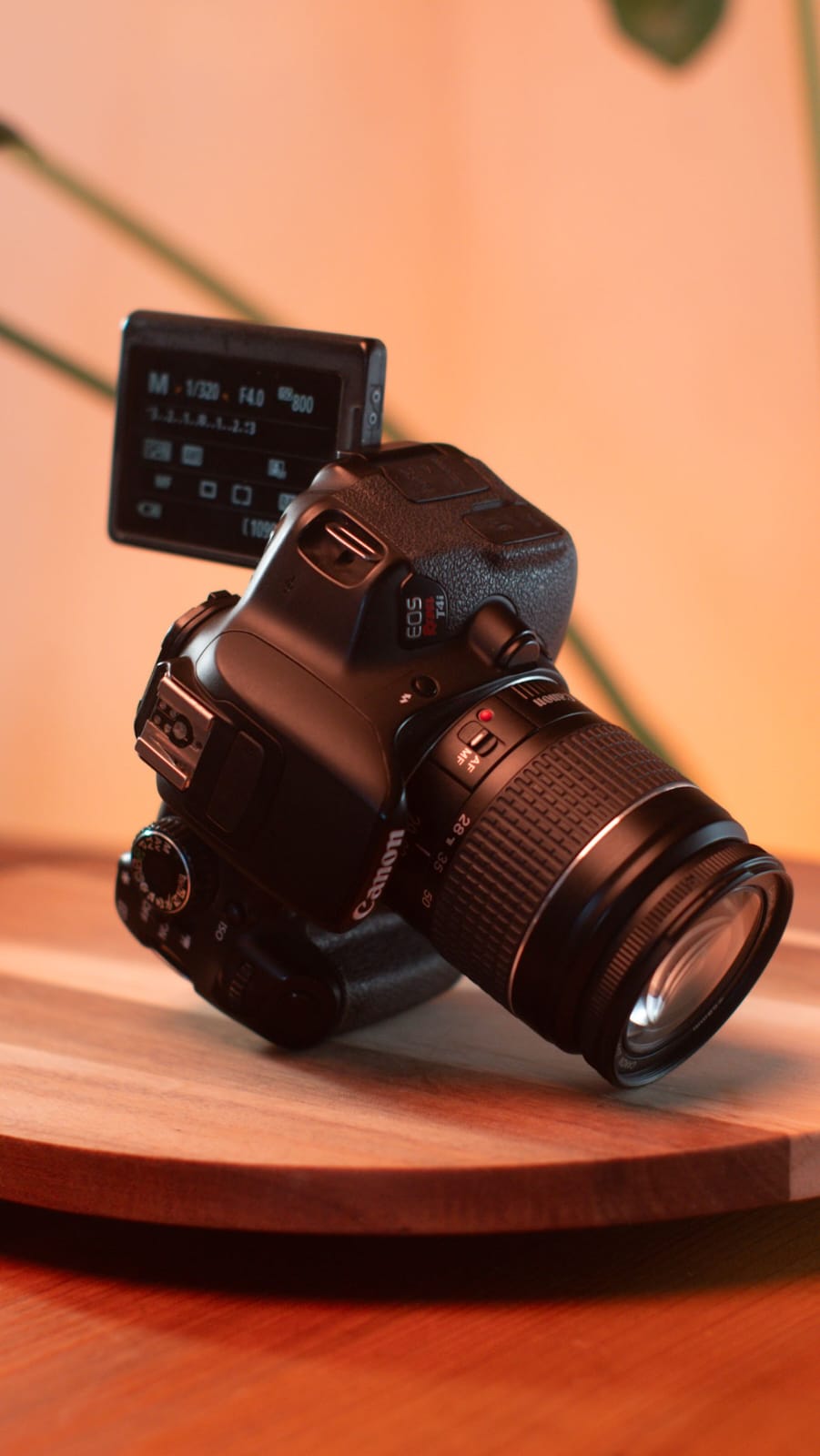 Canon EOS Rebel T4i + Canon EF 28-80mm