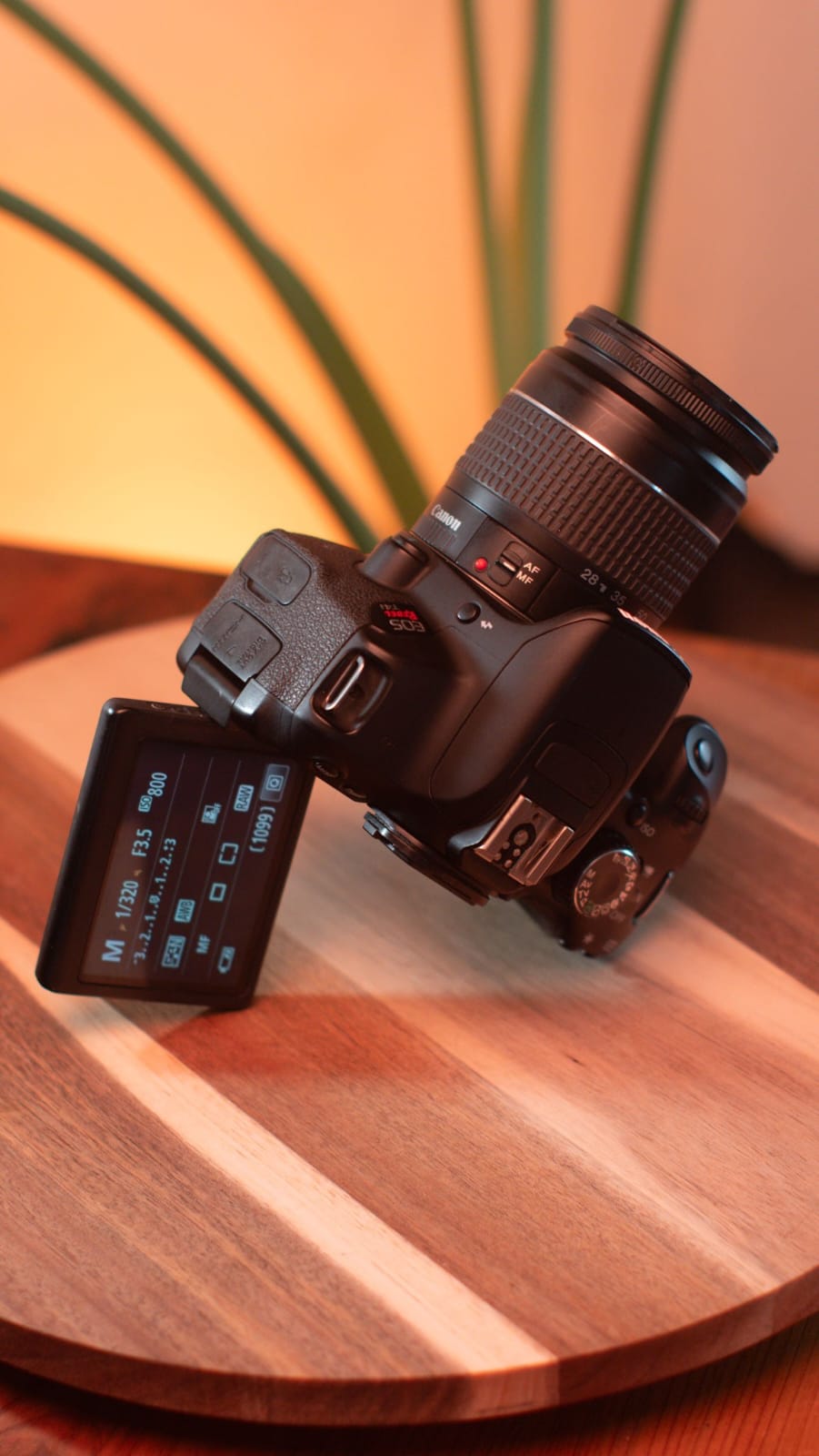 Canon EOS Rebel T4i + Canon EF 28-80mm