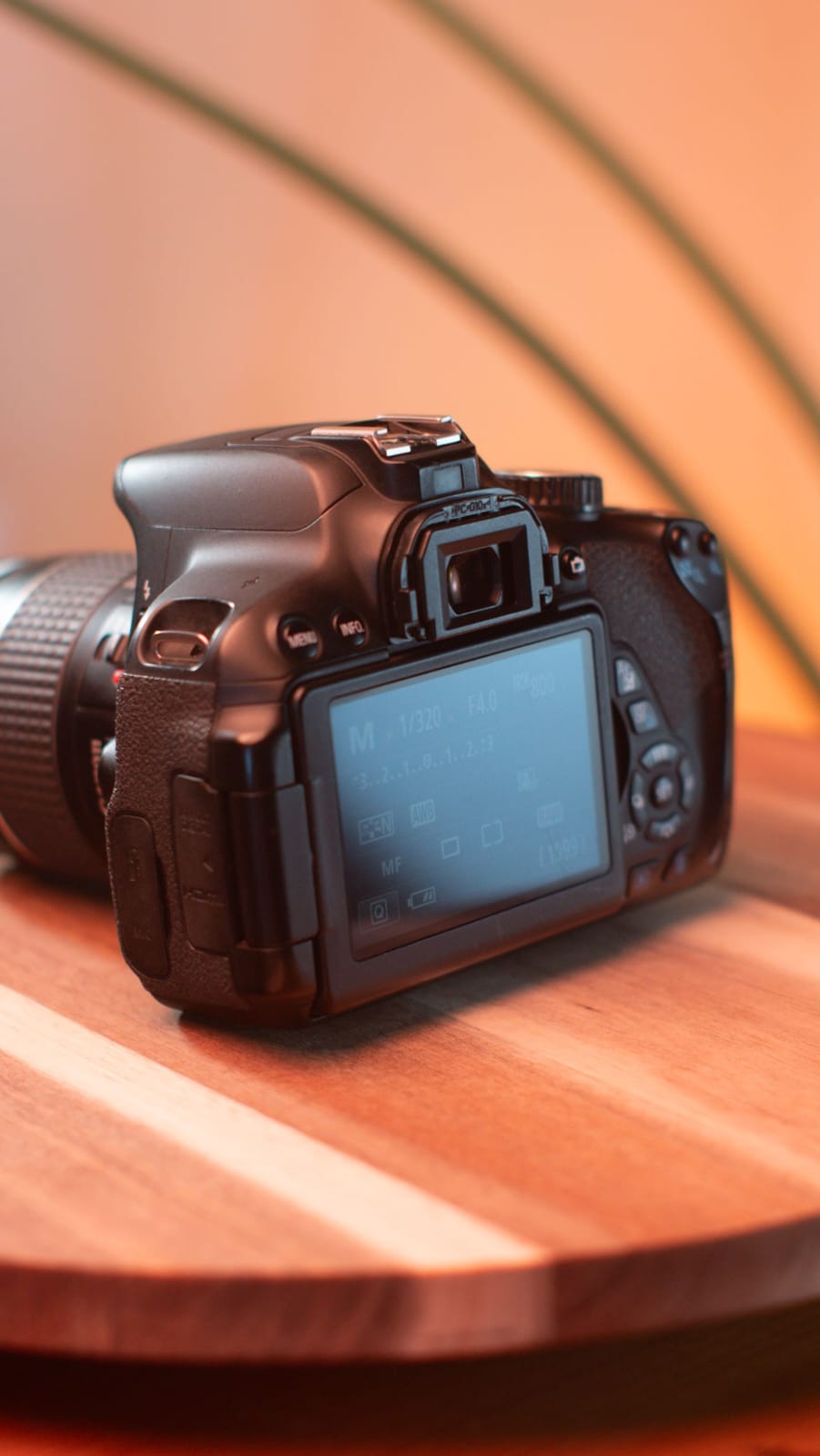 Canon EOS Rebel T4i + Canon EF 28-80mm