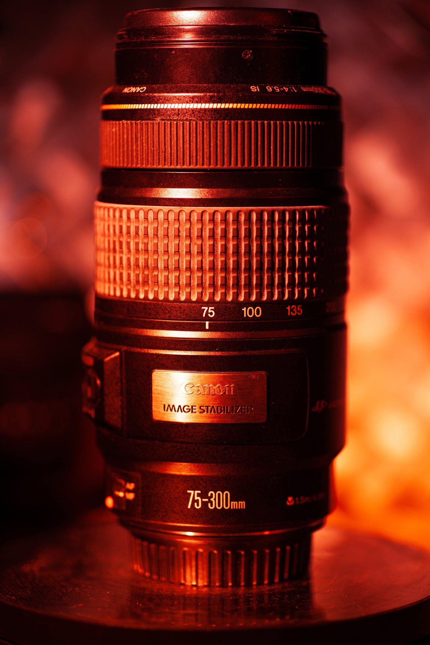 Canon Zoom EF 75-300mm f/4-5.6 IS