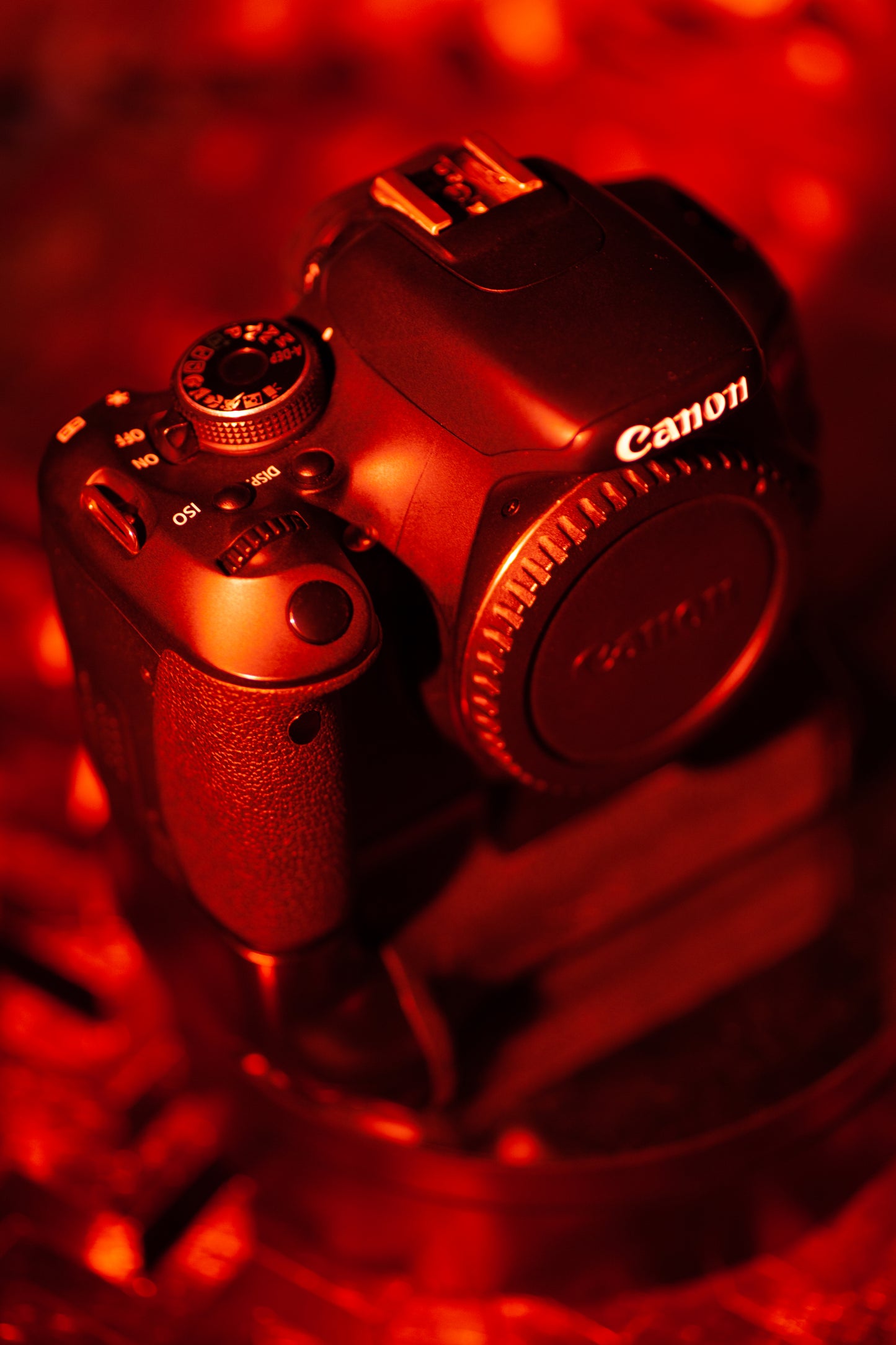 Canon EOS Rebel T3i con Grip